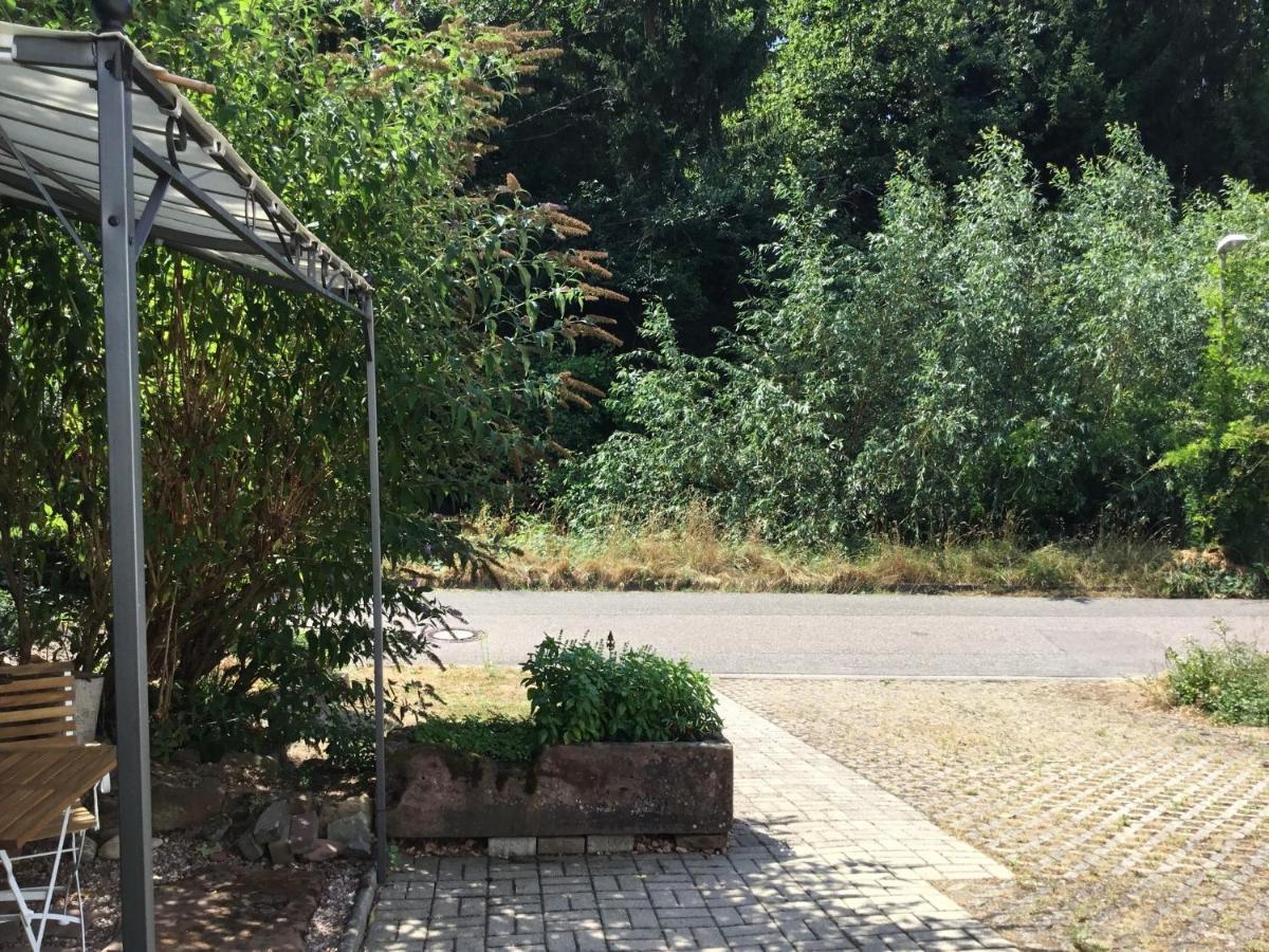 Ferienwohnung Casa Bianca Offenburg Ngoại thất bức ảnh